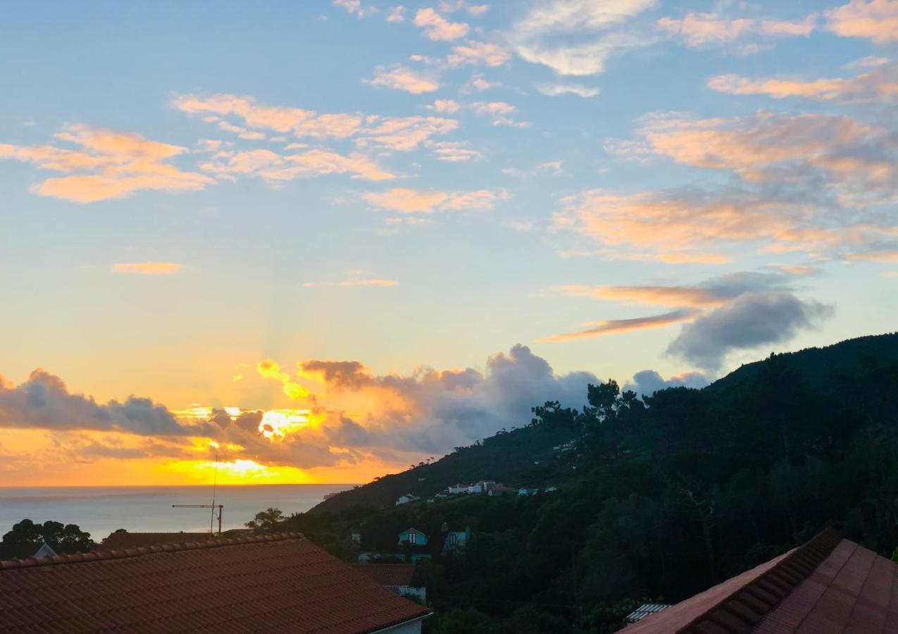 Quinta Pereirinha Farm - A Private 3 Bedroom Vacation Home, Close To Hiking W Ocean Views - Pico Island, Azores Sao Roque do Pico Ngoại thất bức ảnh