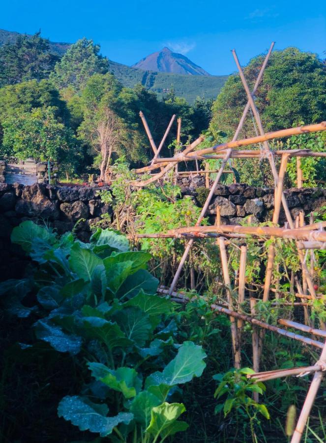 Quinta Pereirinha Farm - A Private 3 Bedroom Vacation Home, Close To Hiking W Ocean Views - Pico Island, Azores Sao Roque do Pico Ngoại thất bức ảnh