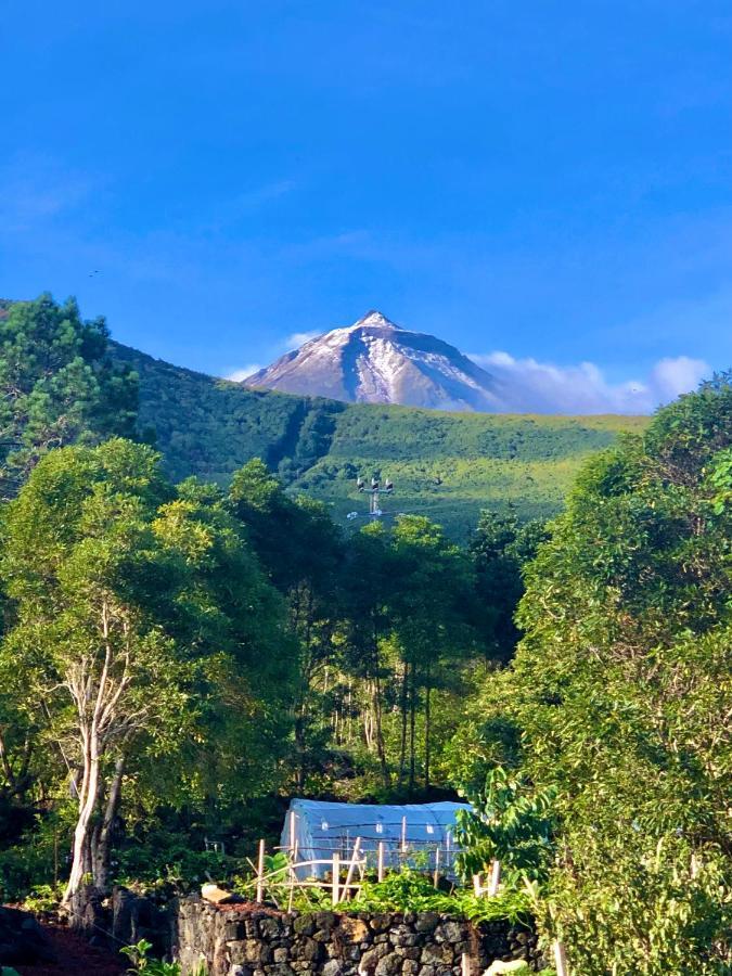 Quinta Pereirinha Farm - A Private 3 Bedroom Vacation Home, Close To Hiking W Ocean Views - Pico Island, Azores Sao Roque do Pico Ngoại thất bức ảnh